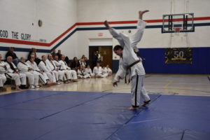 Judo throw